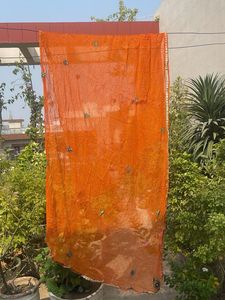 Orange Embroidered Dupatta