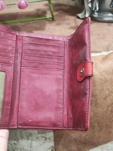 Baggit Women Wallet