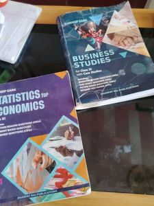 Sandeep Garg Statistics &amp; Business Studies Books