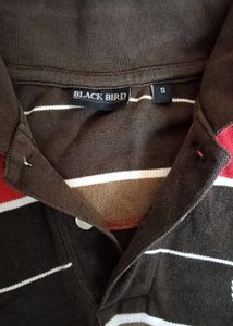 Normal T-Shirt Like Polo