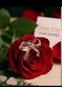 Rose Gold Bow Earrings