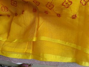 Beautiful Handloom Saree