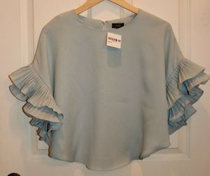 Pleated Sleeve Top