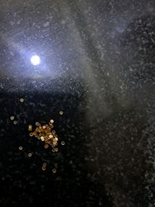 Itsy Bitsy Gold Sequins Craft Art