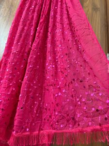 Gorgeous Pink Sequined Dupatta
