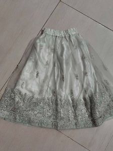 Embellished Lehenga Choli