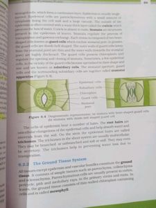 Biology Textbook for Class XI