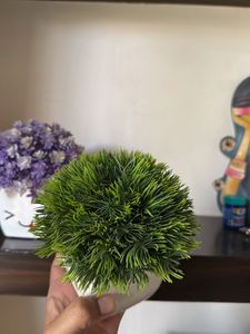 Cute Face Potted Plants (Set of 3)