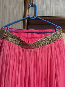 Pink Net Skirt with Gold Detail