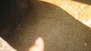 Woolen Pants