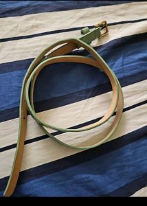 Green Women's Belt