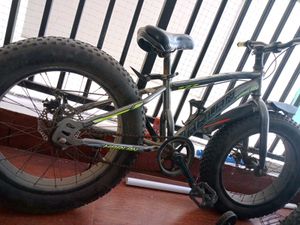 Harlan Fat Tire Bicycle
