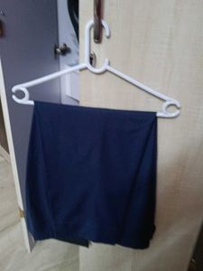 Men's Blue Pants