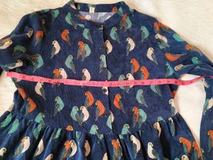 Very Beautiful Velvet Bird Frock