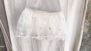 Cute Heart Embroidered Tulle Skirt
