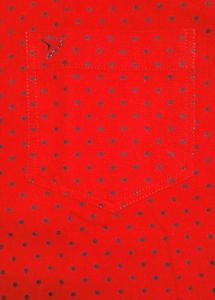 BRAND NEW SHIRT WITHOUT TAG