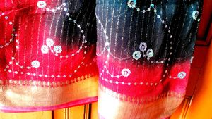 Sparkling Red &amp; Black Saree