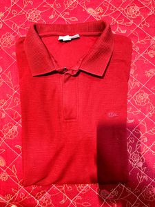 trending lacoste tshirt 1st copy confortable