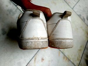 campus Shoes