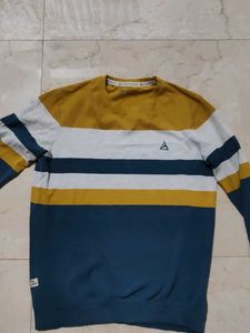 Striped Crewneck Sweatshirt