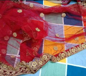 Stunning Red &amp; Gold Embellished Lehenga Choli