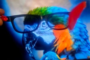 WalmeckG66 Passive 3D Glasses Polarized