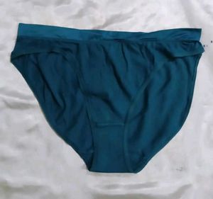 Comfortable Teal Briefs