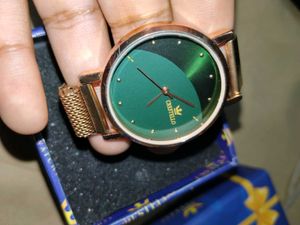 Crestello Gold Mesh Watch