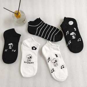 Socks 10 Pair Wholesale Price