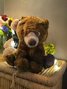 Collectible Disney Brand  Plush Bear