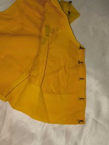 Yellow Embellished Saree