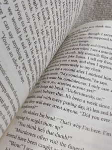 The Boyfriend by Freida McFadden