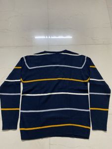 Roadster Men's Striped Knit Sweater