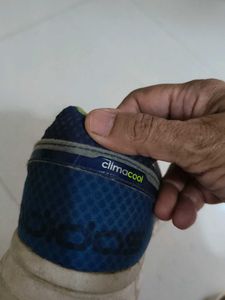 Adidas Climacool Running Shoes