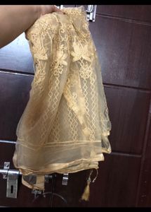 Ethinic Gown And Frock With Shrug