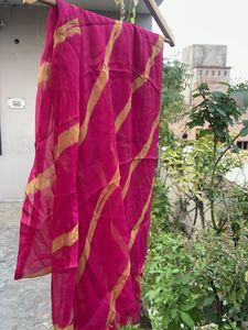 Vibrant Pink Saree with Golden Stripes