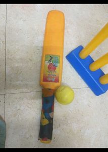 Kids Cricket Set