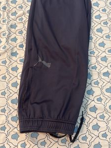 Puma Jogger L size