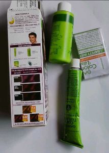 Garnier hair colour plum red