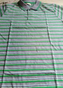 Striped Polo Shirt