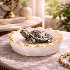 Good Luck Feng Shui Tortoise Turtle