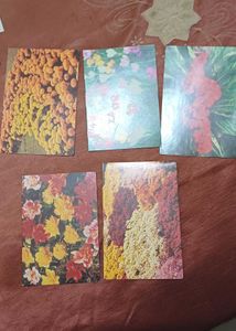 Vintage Floral new year greeting cards in hindi