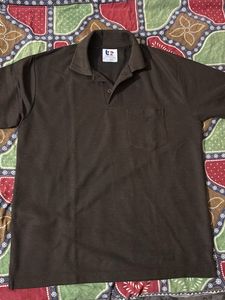 Casuals Brown Polo Shirt - XL