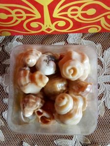 Resin Artwork With Seashells