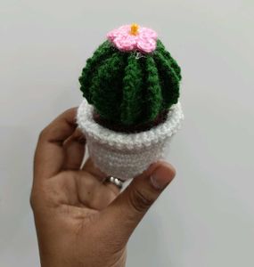 Handmade Crochet Cactus Decor
