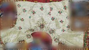 Elegant Traditional Lehenga Choli Set ✨