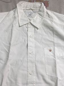 Lee Men's White Casual Shirt (value for money
