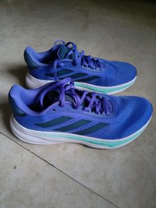 Adidas New Running Shoes
