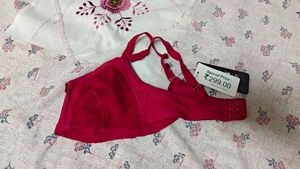 Vibrant Pink Bra with Lace Detail