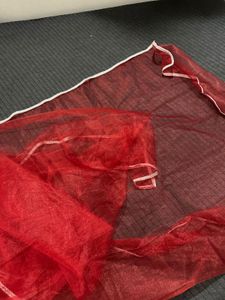 Elegant Red Sheer Dupatta